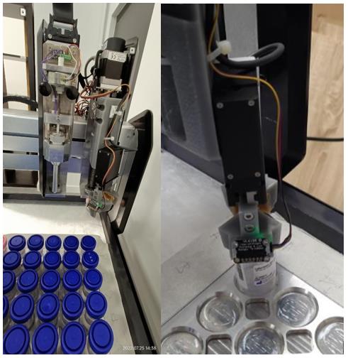 Primadiag — Programme Prodigy